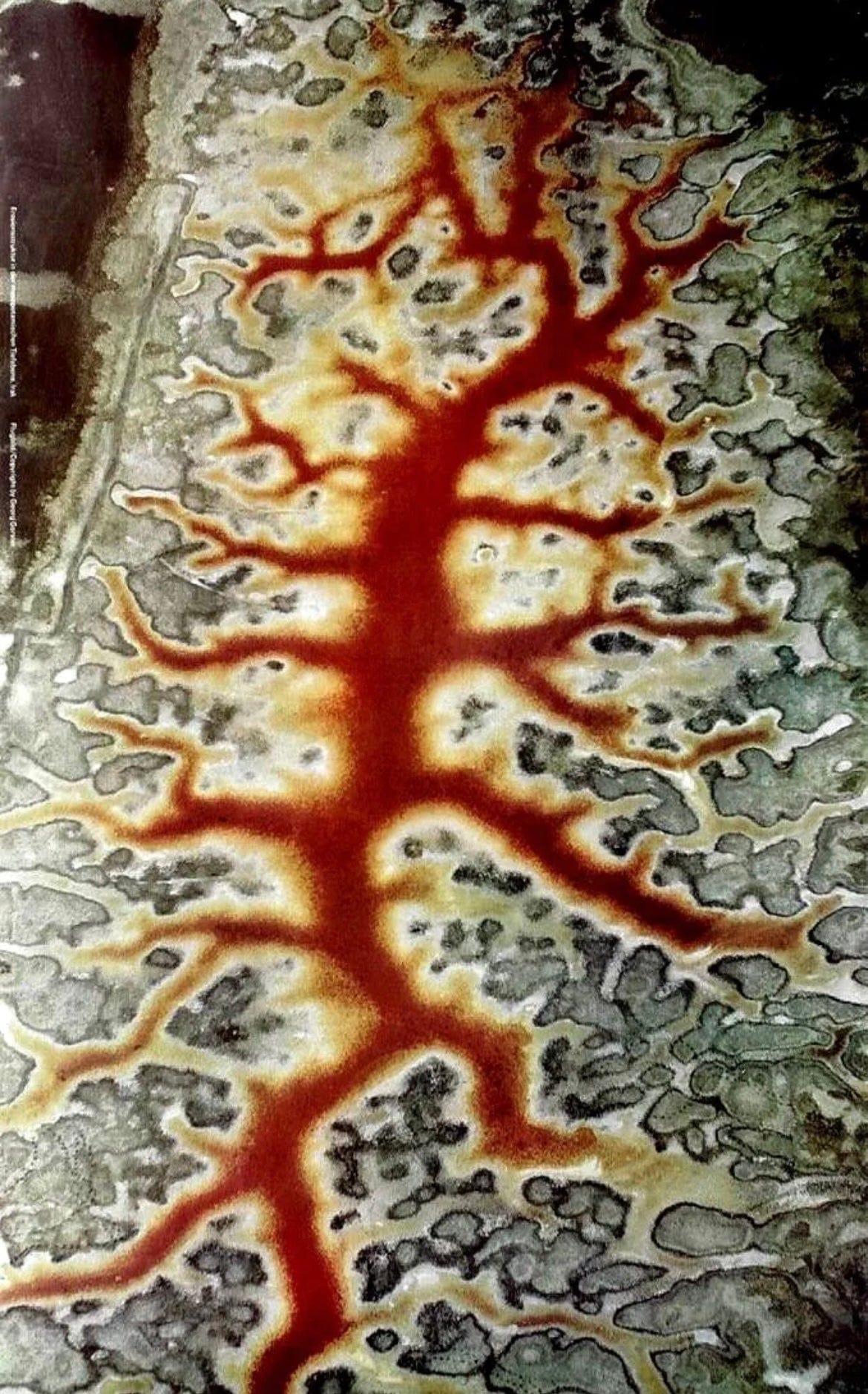 Desert Valley Mesopotamia Irak 1975