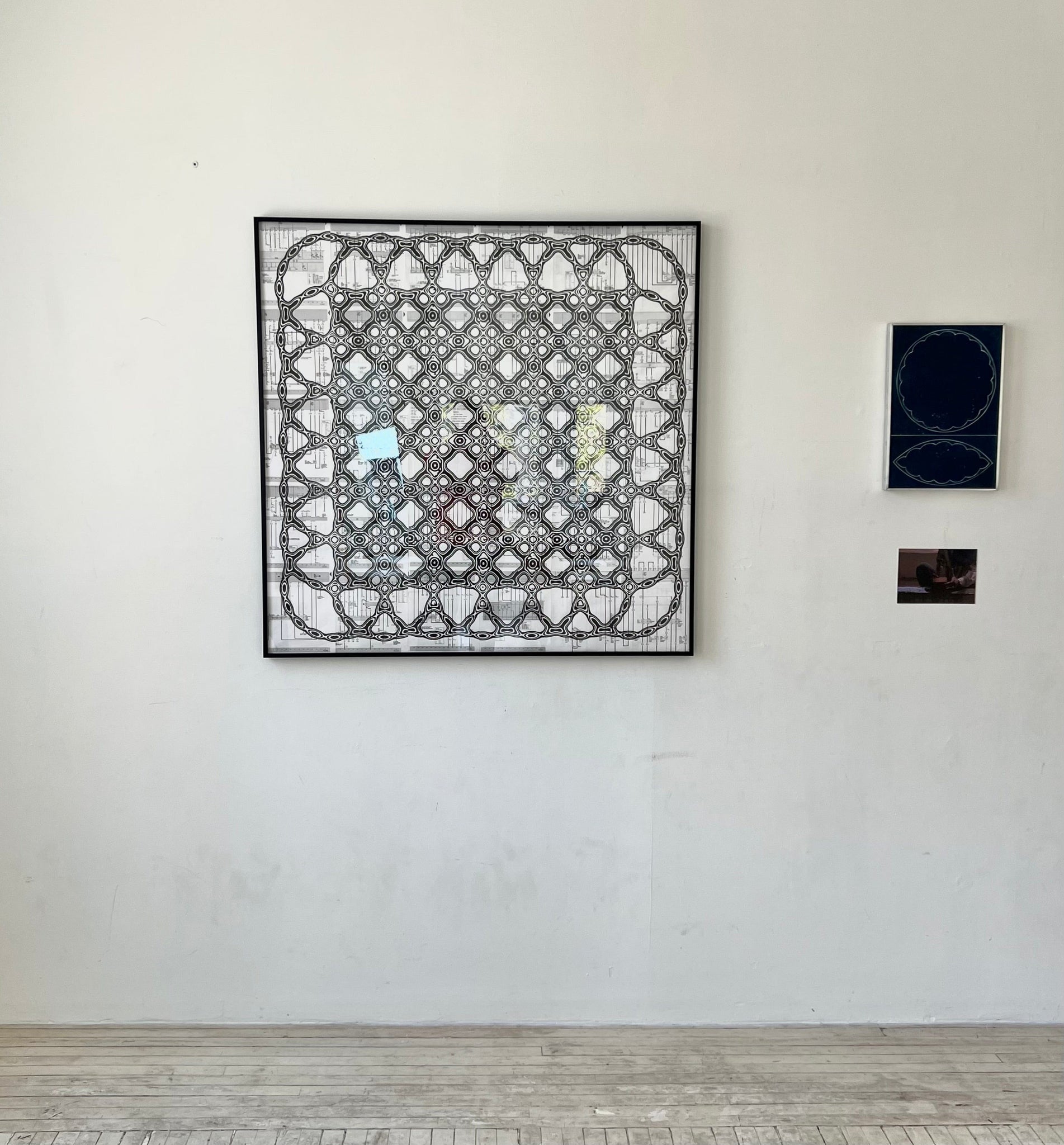 Roy Zandboer - Lemon Shark, 2023