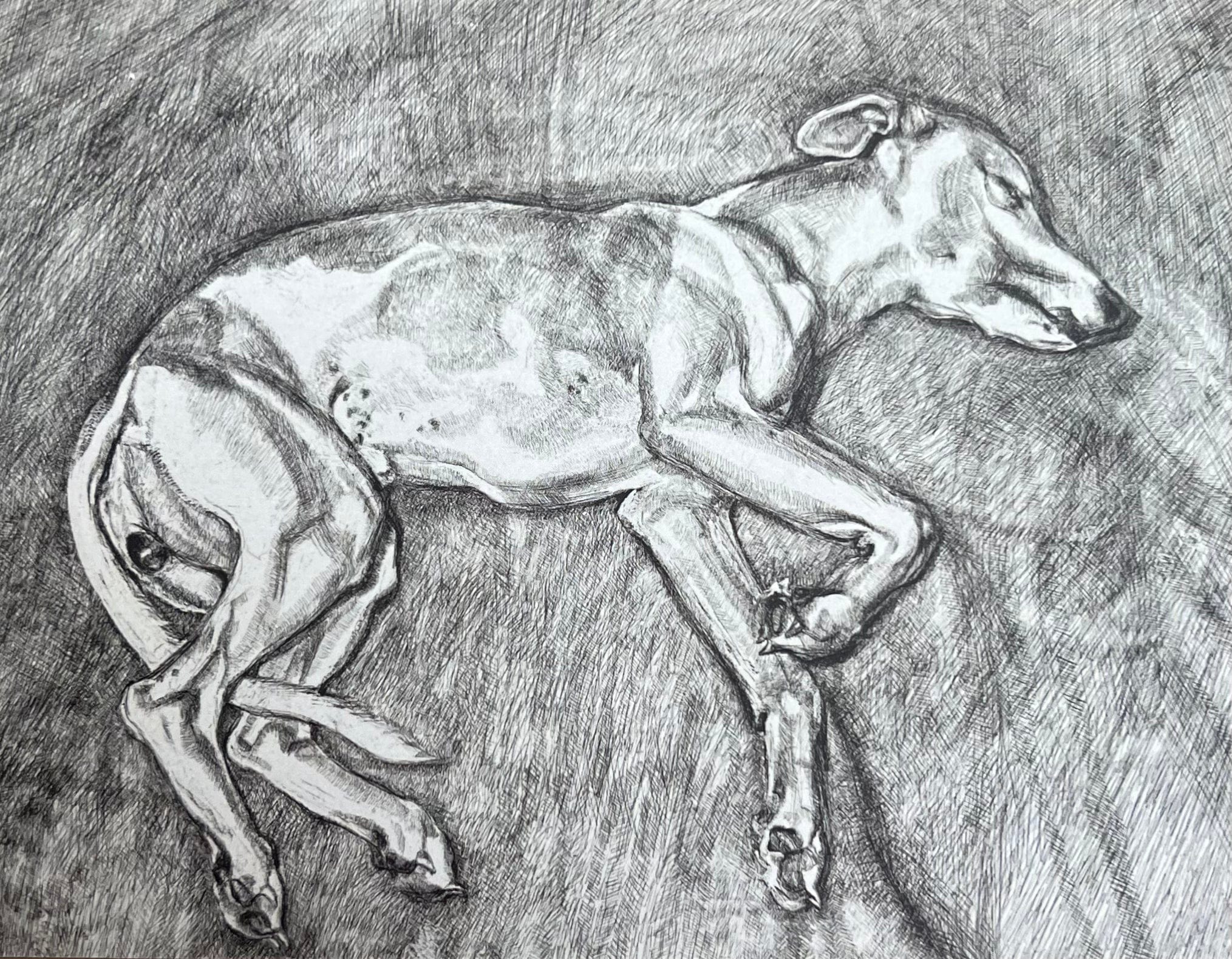 Lucian Freud - Eli, 2002 postcard