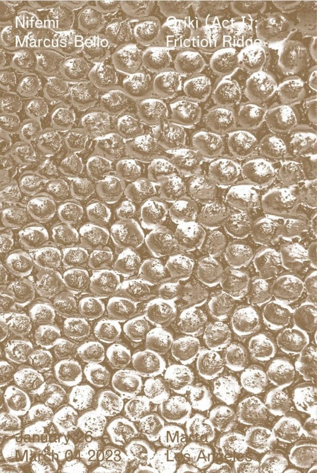 Nifemi Marcus-Bello Friction Ridge (Double-Sided Print), 2023