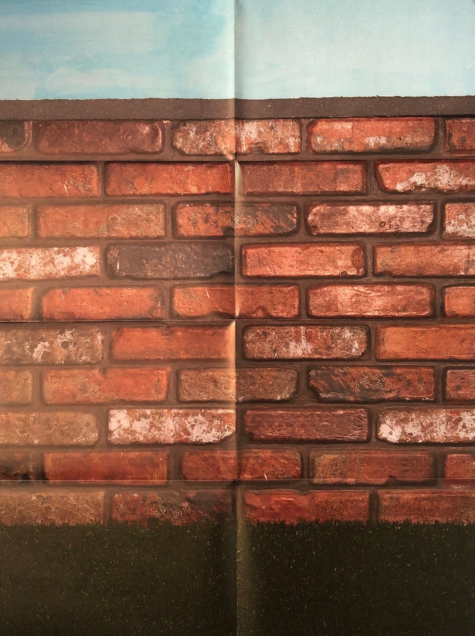 Llyn Foulkes - The Wall, 2017 (Detail)