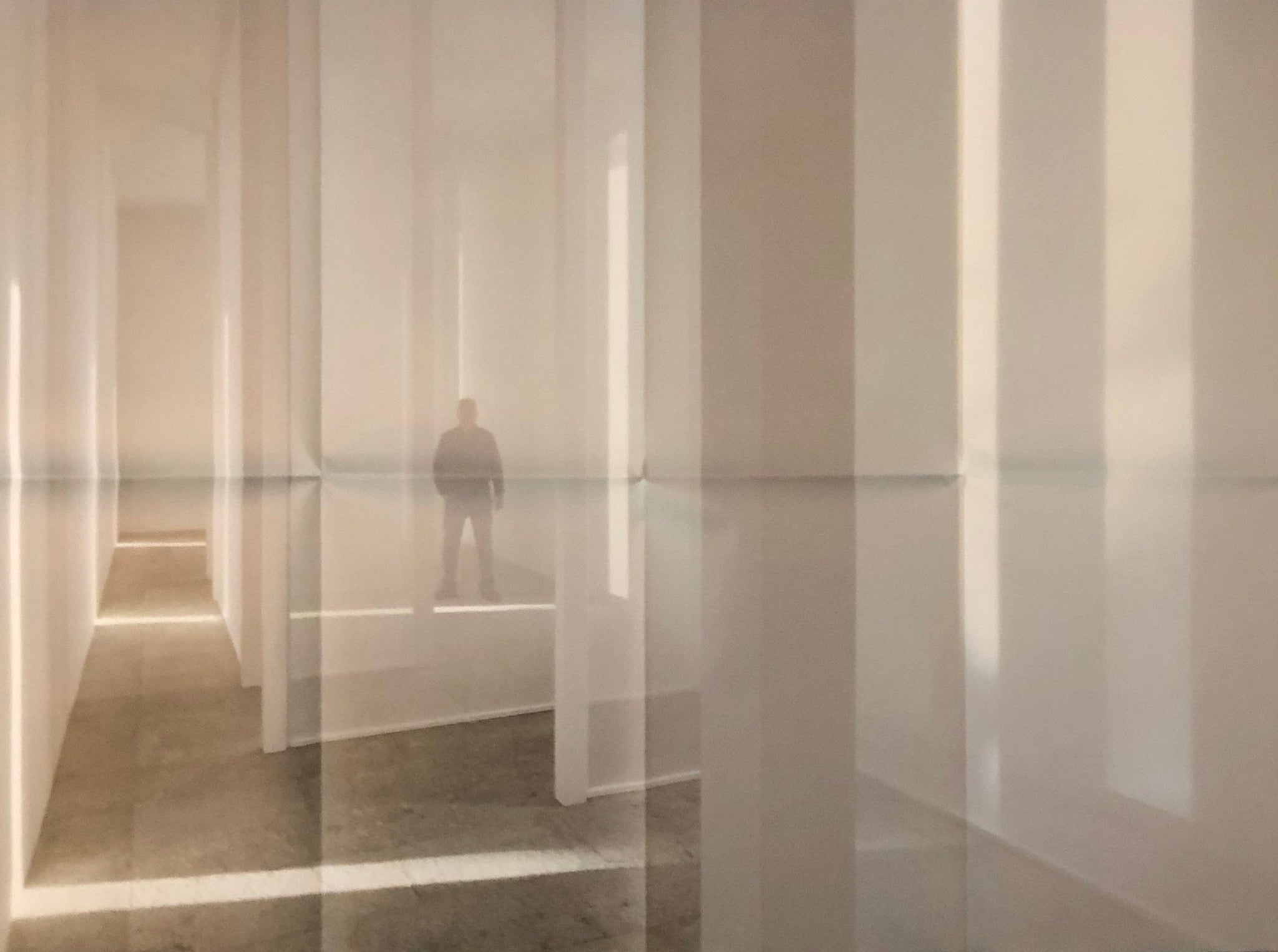Robert Irwin - Varese Scrim, 2013