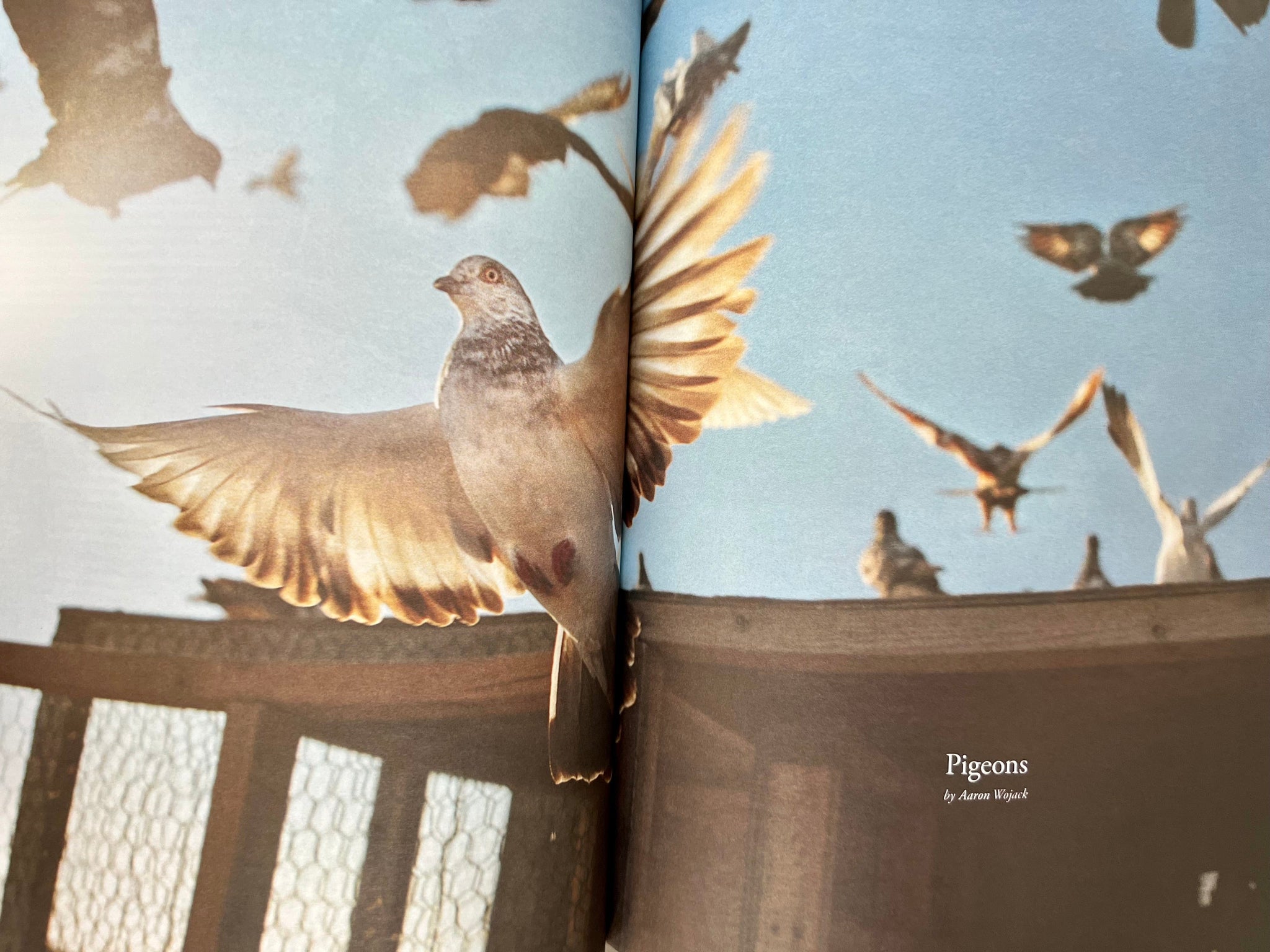 Inventory Magazine - Vol. 4 #7 - FW2012