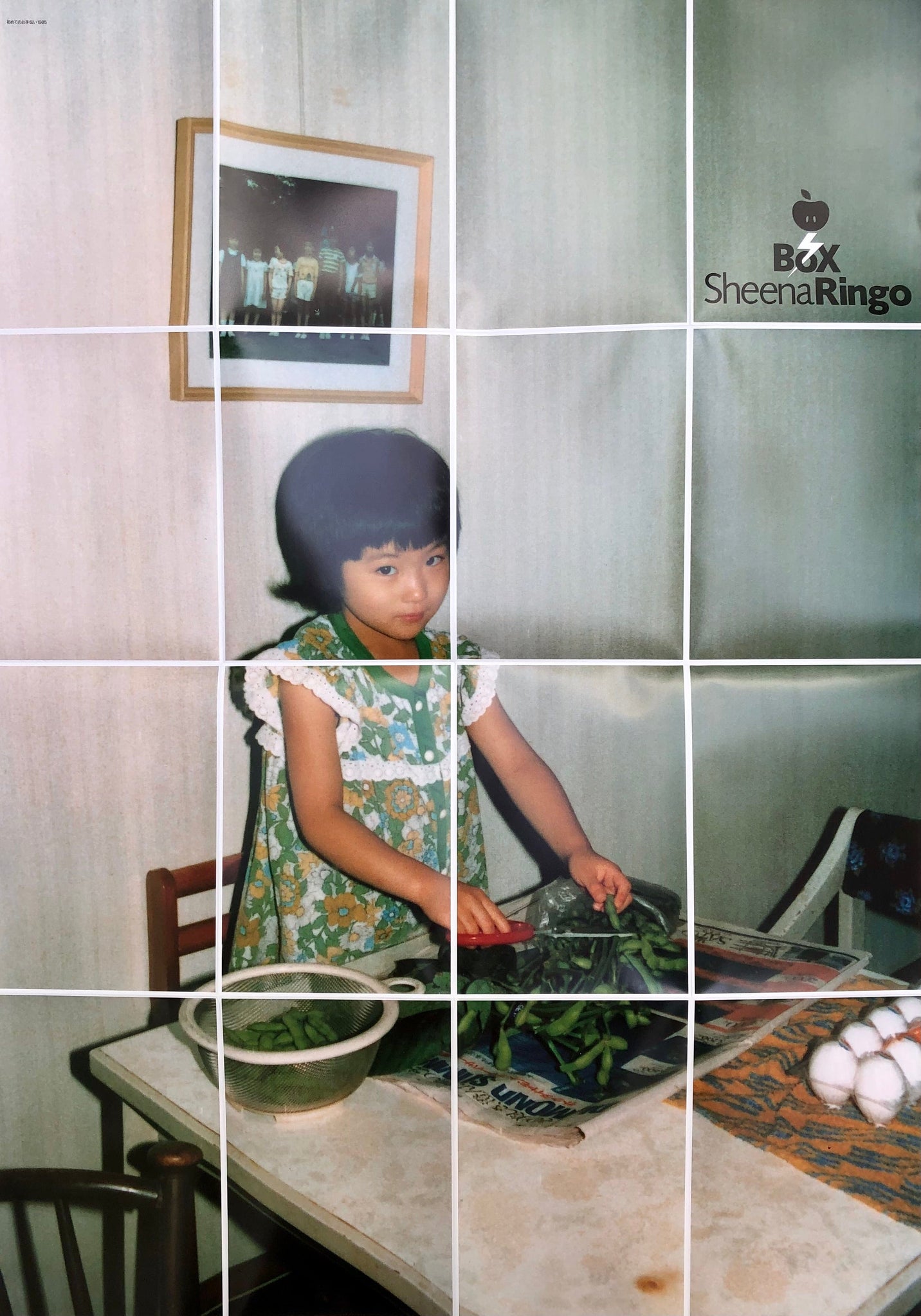 Box Shiina Ringo - Watashi to Houden, 2008