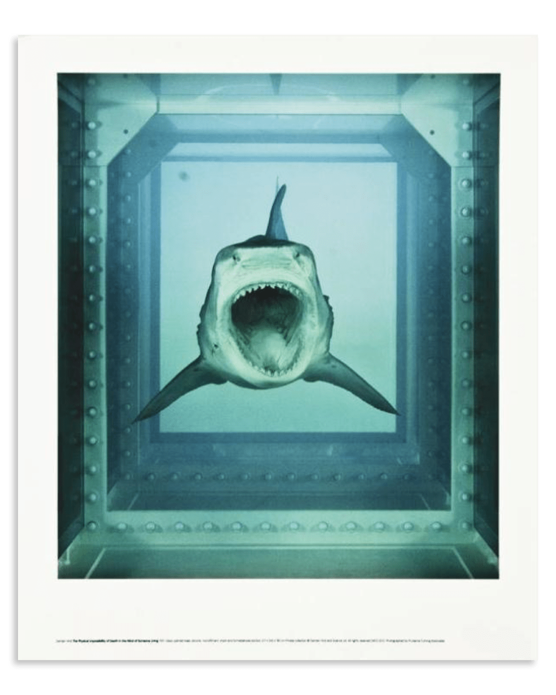Damien Hirst - The Physical Impossibility of Death in the Mind of Someone Living, 2012