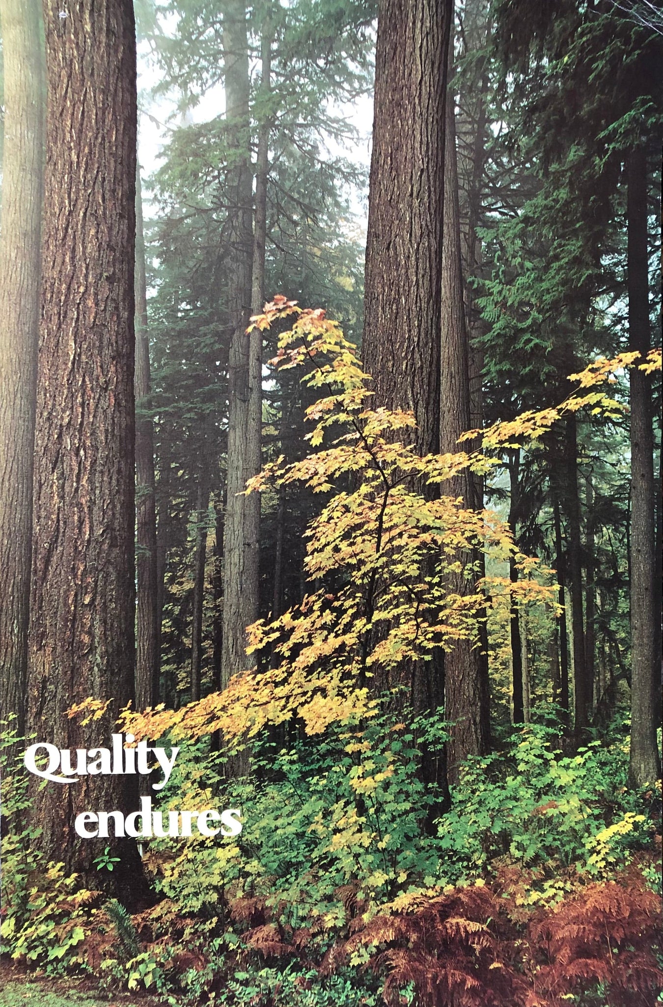 Quality Endures, 1970s